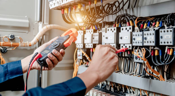 Best Electric Panel Repair  in Reedsburg, WI